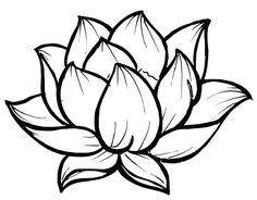 236x184 Best Lotus Images In Embroidery, Drawings, Lotus Flower - Lotus Line Drawing