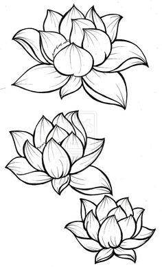 236x387 Best Lotus Drawing Images Lotus Flower, Silk Painting - Lotus Line Drawing