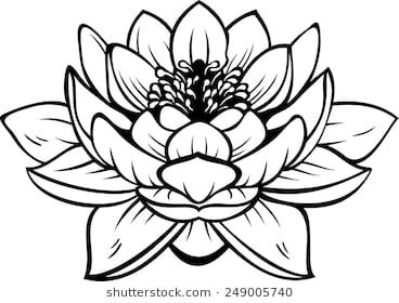 368x280 Free Outline Drawing Ideas - Lotus Outline Drawing