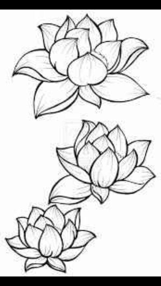 540x960 Huge Collection Of 'lotus Flower Drawing Outline' Download More - Lotus Outline Drawing