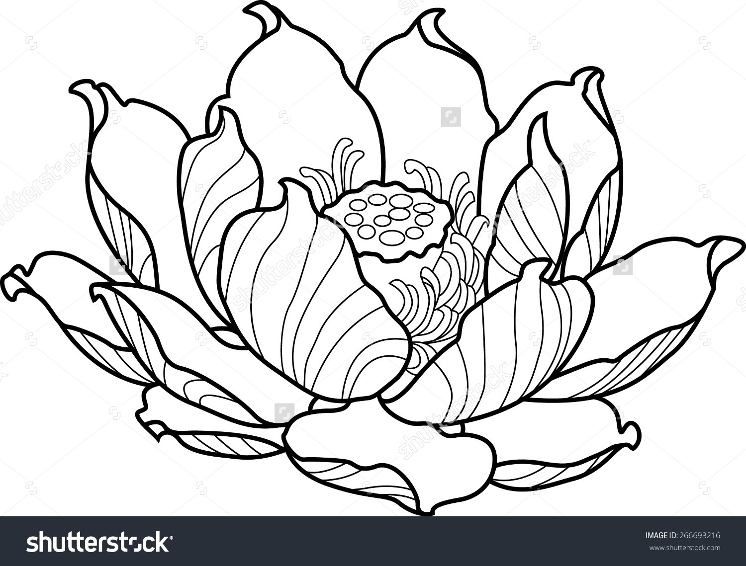 Lotus Outline Drawing At Explore Collection Of Lotus Outline Drawing 2132