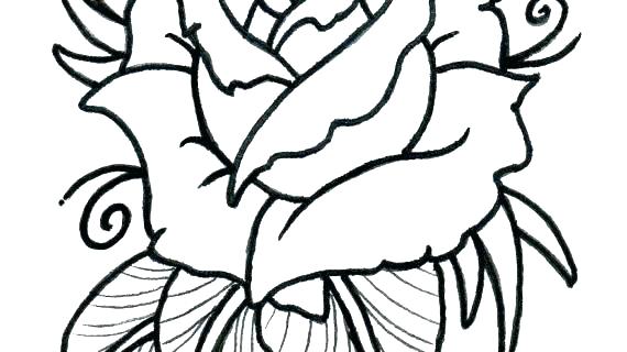 570x320 Rose Outline Drawing Google Search Flowers Easy Flower To Draw - Lotus Outline Drawing