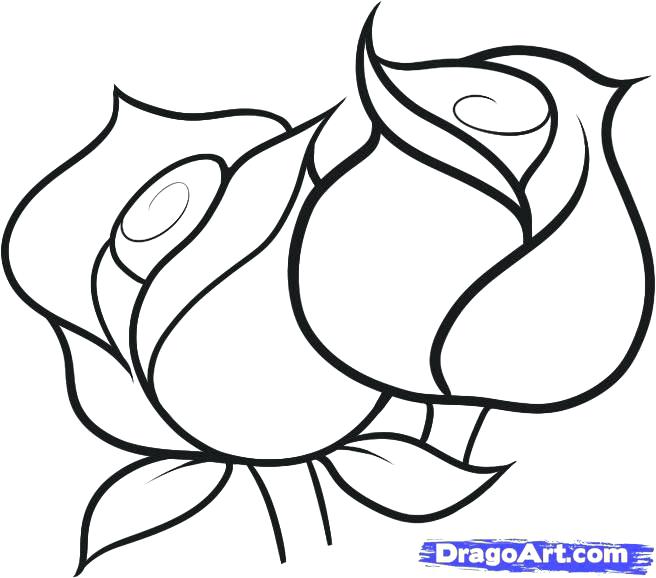 656x578 Simple Rose Outline Tattoo Designs Drawing Google Search Flowers - Lotus Outline Drawing