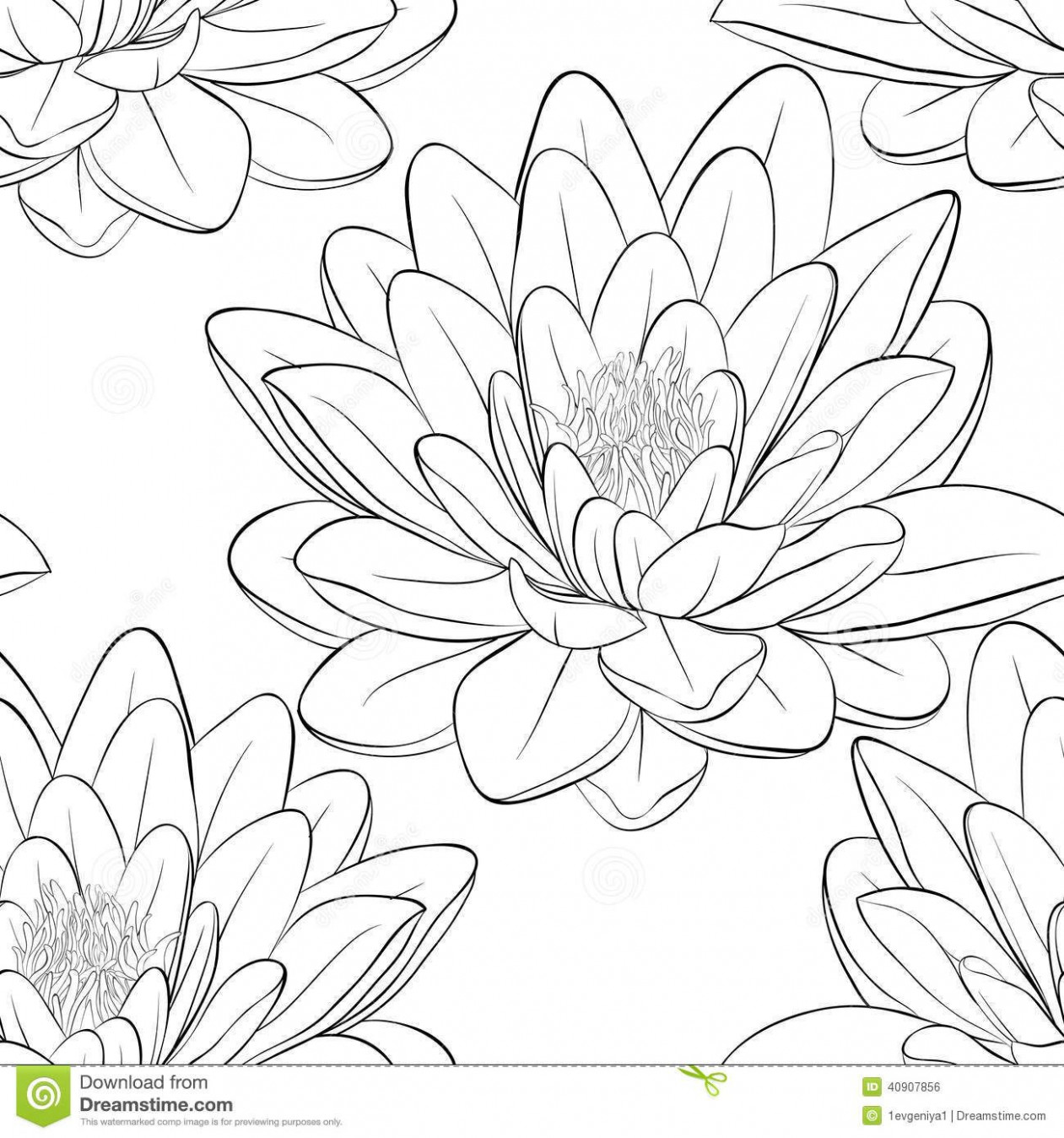 Lotus Outline Drawing at PaintingValley.com | Explore collection of ...