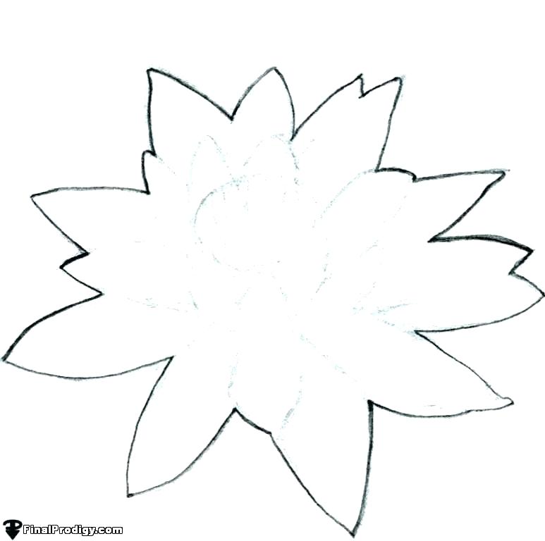 773x768 flower drawing outline stylized flower bquet hand drawing flower - Lotus Outline Drawing