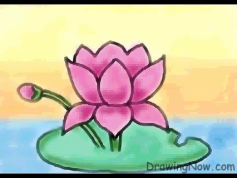 480x360 How To Draw A Lotus - Lotus Plant Drawing