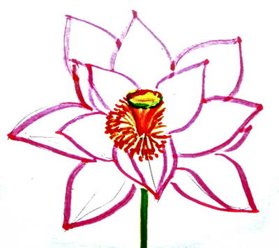400x356 How To Draw A Lotus - Lotus Plant Drawing