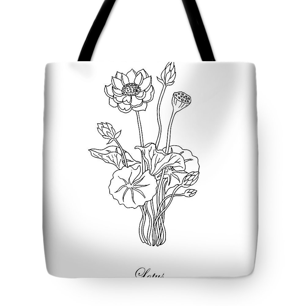 1000x1000 Lotus Flower Botanical Drawing Black And White Tote Bag For Sale - Lotus Plant Drawing