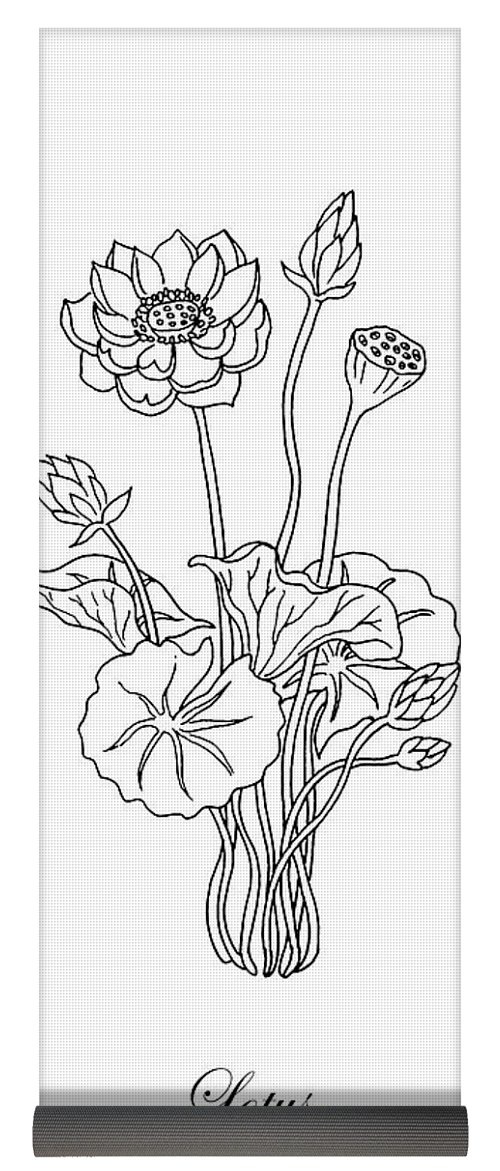 500x1171 Lotus Flower Botanical Drawing Black And White Yoga Mat For Sale - Lotus Plant Drawing