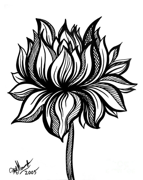 600x758 Lotus Flower Black White Drawing Poster - Lotus Plant Drawing
