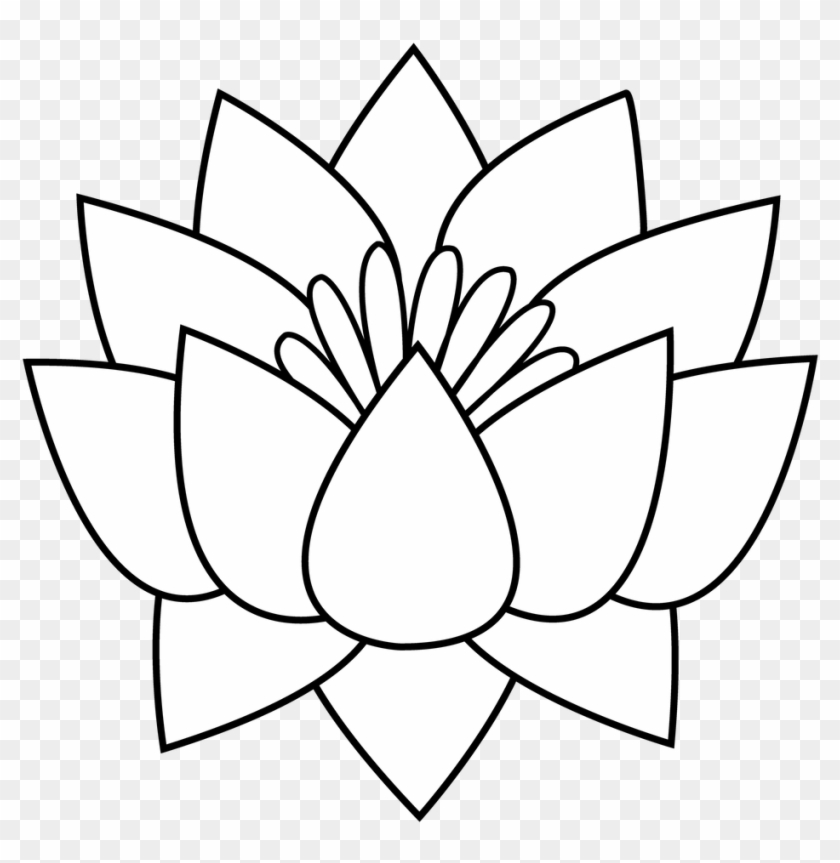 840x863 office large size flowers black and white drawing clipart - Lotus Plant Drawing