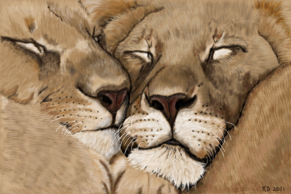992x662 Lion Love An Animals Speedpaint Drawing - Love Animals Drawing