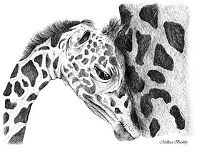 300x217 Love Animals Drawings - Love Animals Drawing