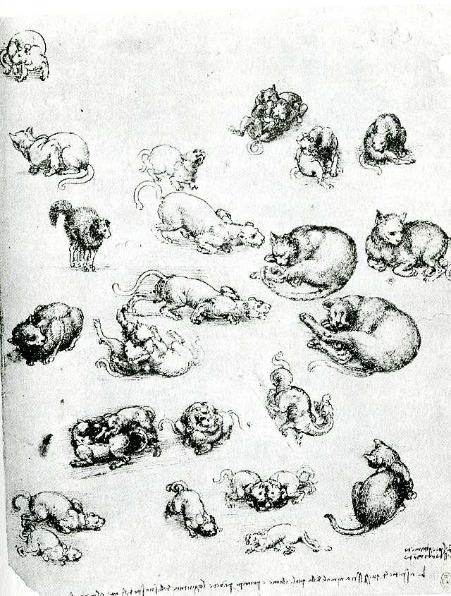 640x845 research point renaissance masters draw animals starrybird oca - Love Animals Drawing