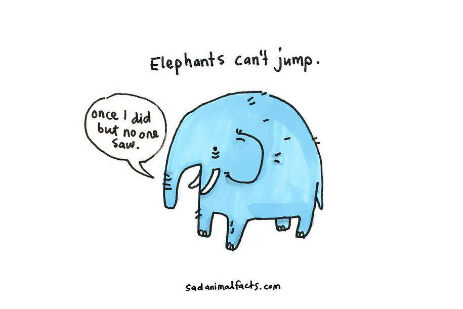 915x611 Sad Animals Facts That'll Make You Slightly Depressed - Love Animals Drawing