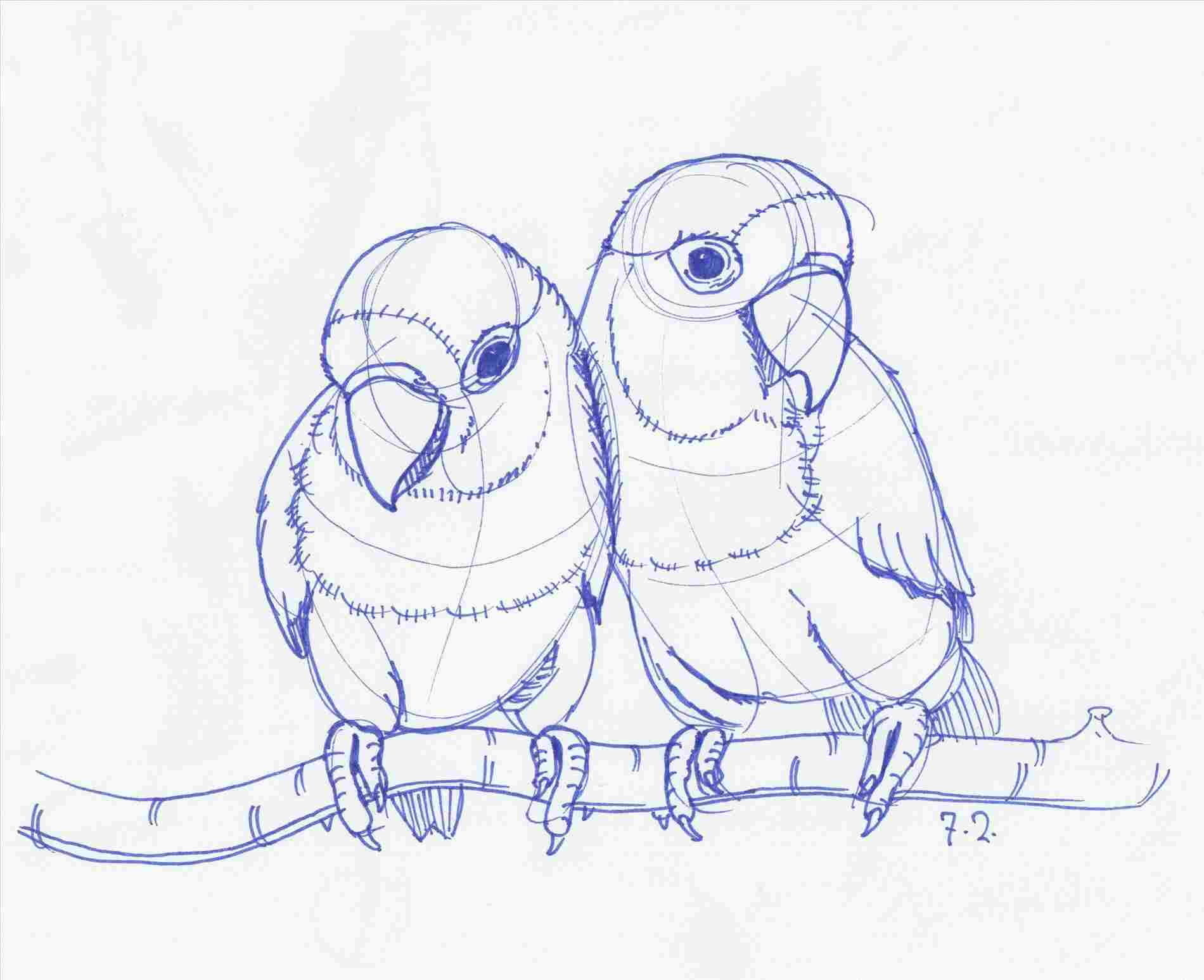 1900x1547 rhcom dynamic sketching tumblr in sketches dynamic love - Love Animals Drawing