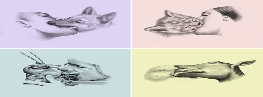851x315 Animal Love Animals Art Creative Draw Drawing Facebook Covers - Love Animals Drawing