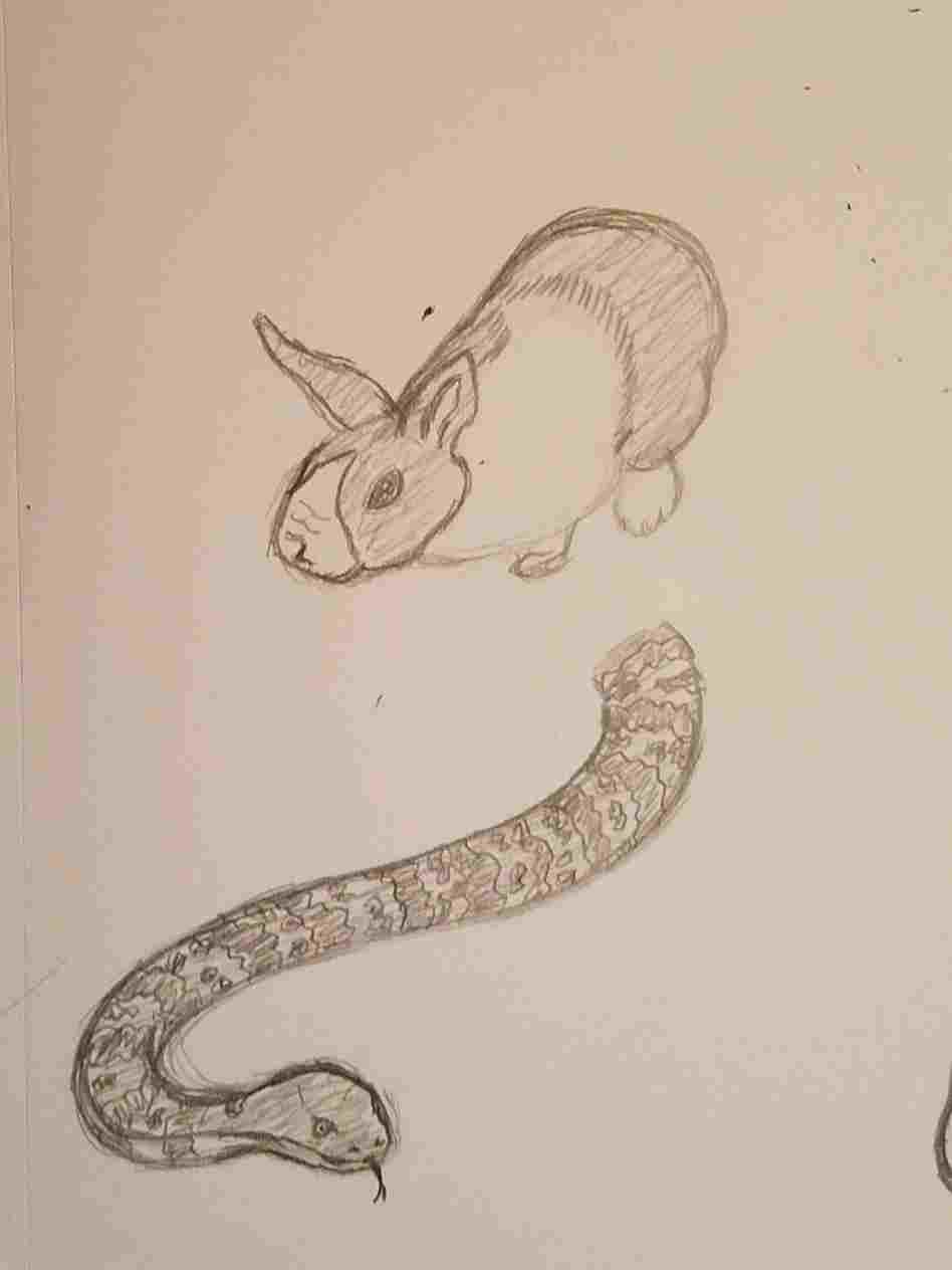 948x1264 Sketches Zoroterrainscorhzoroterrainsco Animal Good Drawings - Love Animals Drawing