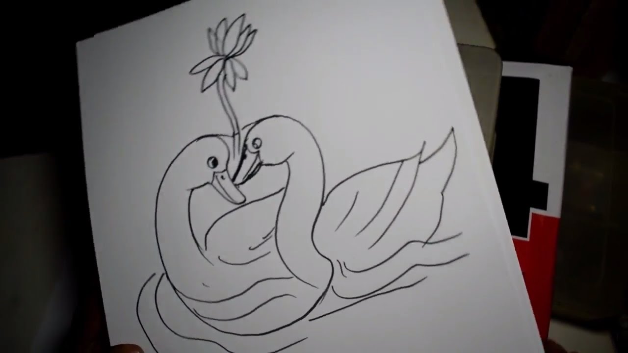 1280x720 Duck Love Pen Drawing Sketch Art - Love Art Drawing