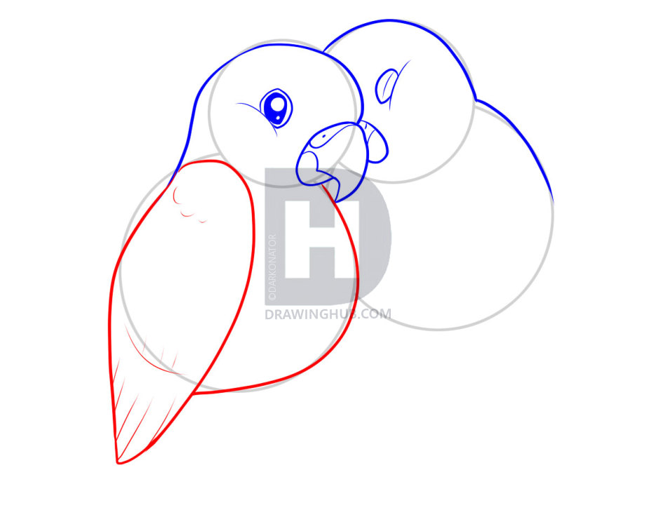 945x720 How To Draw Lovebirds, Step - Love Birds Drawing