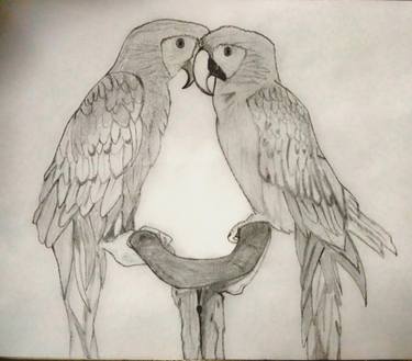 375x329 Lovebirds Drawing - Love Birds Drawing
