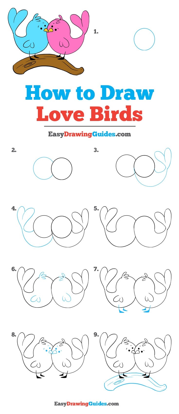 736x1694 how to draw love birds - Love Birds Drawing Images