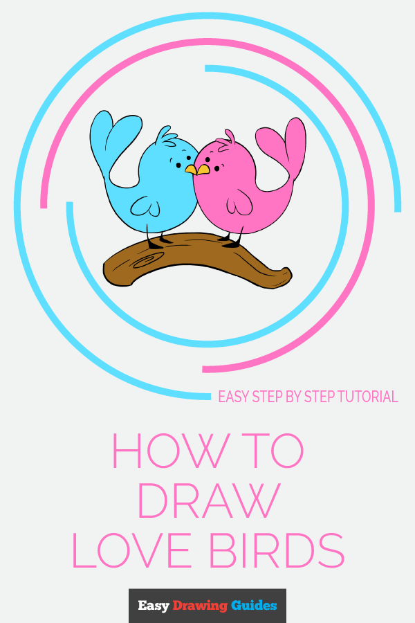 600x900 how to draw love birds - Love Birds Drawing Images