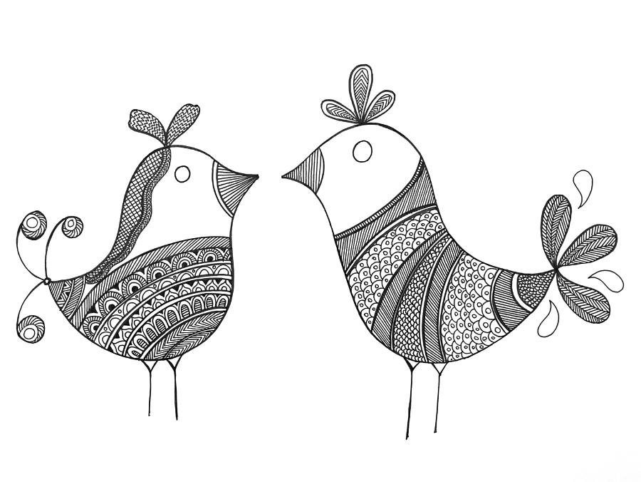 900x676 bird love birds drawing - Love Birds Drawing Images