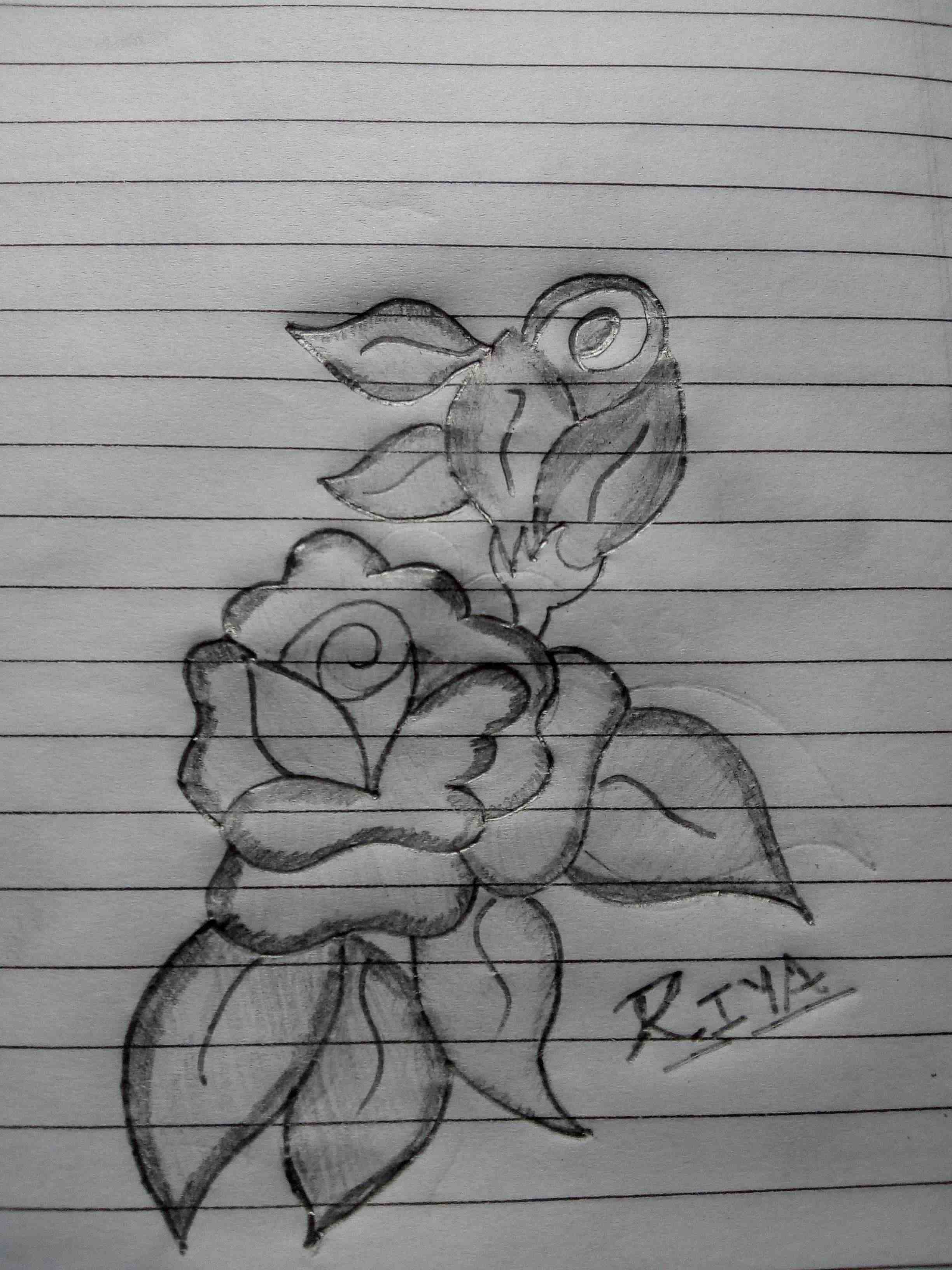 2448x3264 Nojoto Tst Love Drawing Art Rose Nojotohindi Quotes, Shayari, St - Love Drawing Pic