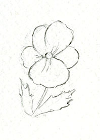 198x276 Flower Drawing Techniques How To Make Flowers Pose For You - Love Flower Drawing