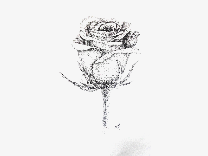 800x600 Love Flower - Love Flower Drawing