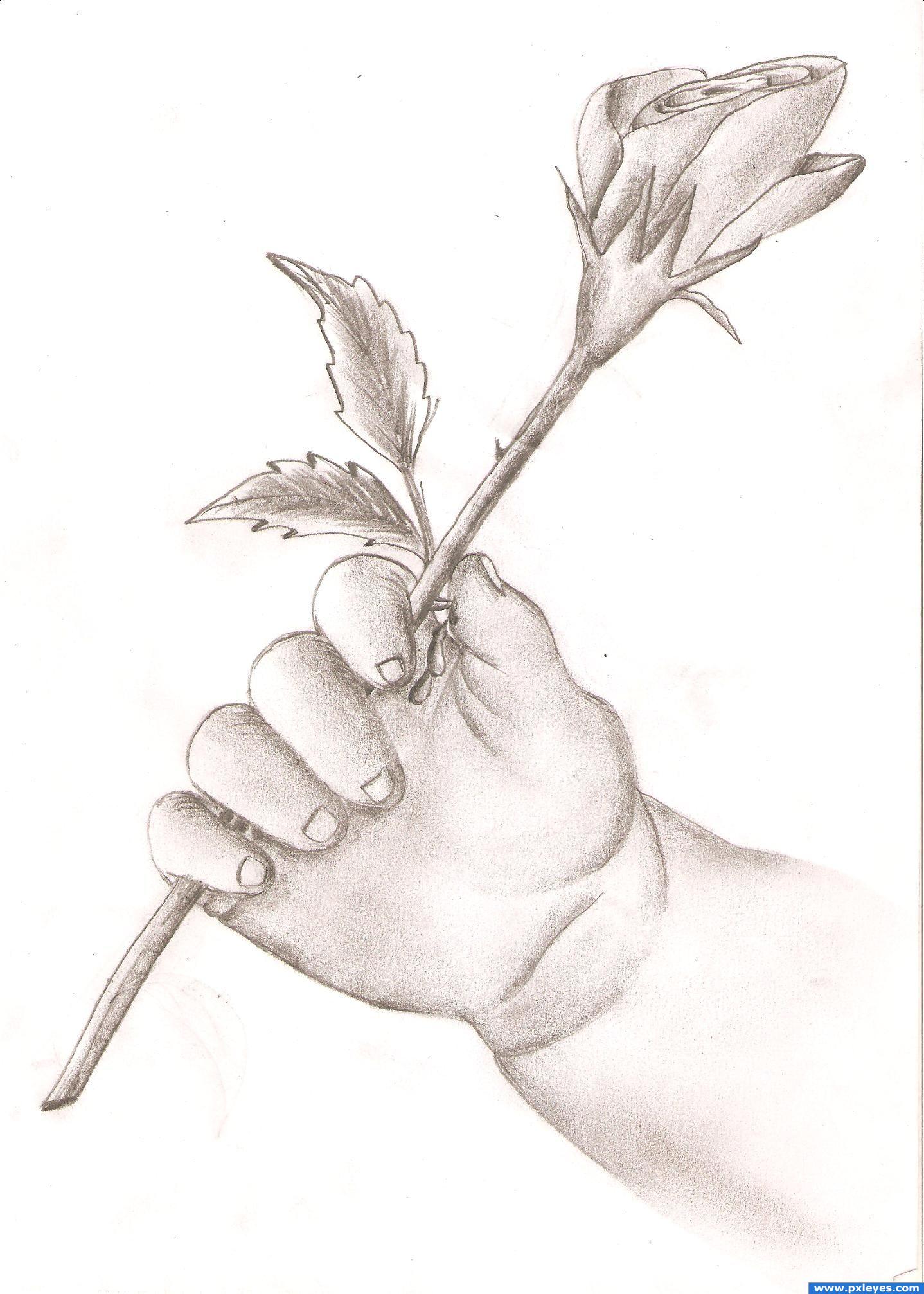 1438x2013 Love's One Picture - Love Flower Drawing