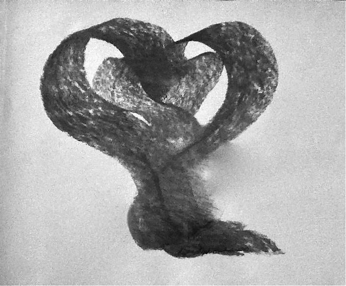 705x583 Love Knot Drawing - Love Knot Drawing