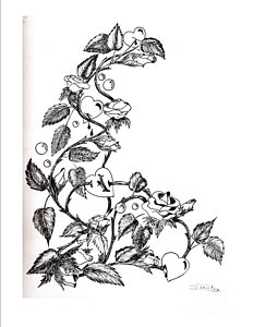 232x300 Loves Rose Drawing - Love Rose Drawing