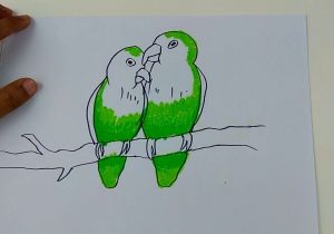300x210 How To Draw Love Birds Step - Lovebird Drawing