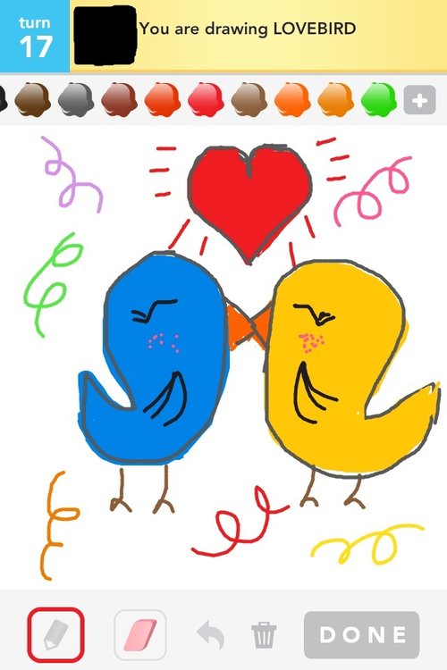 500x750 Lovebird Drawings - Lovebird Drawing