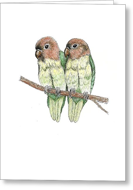 455x646 lovebirds drawing - Lovebird Drawing
