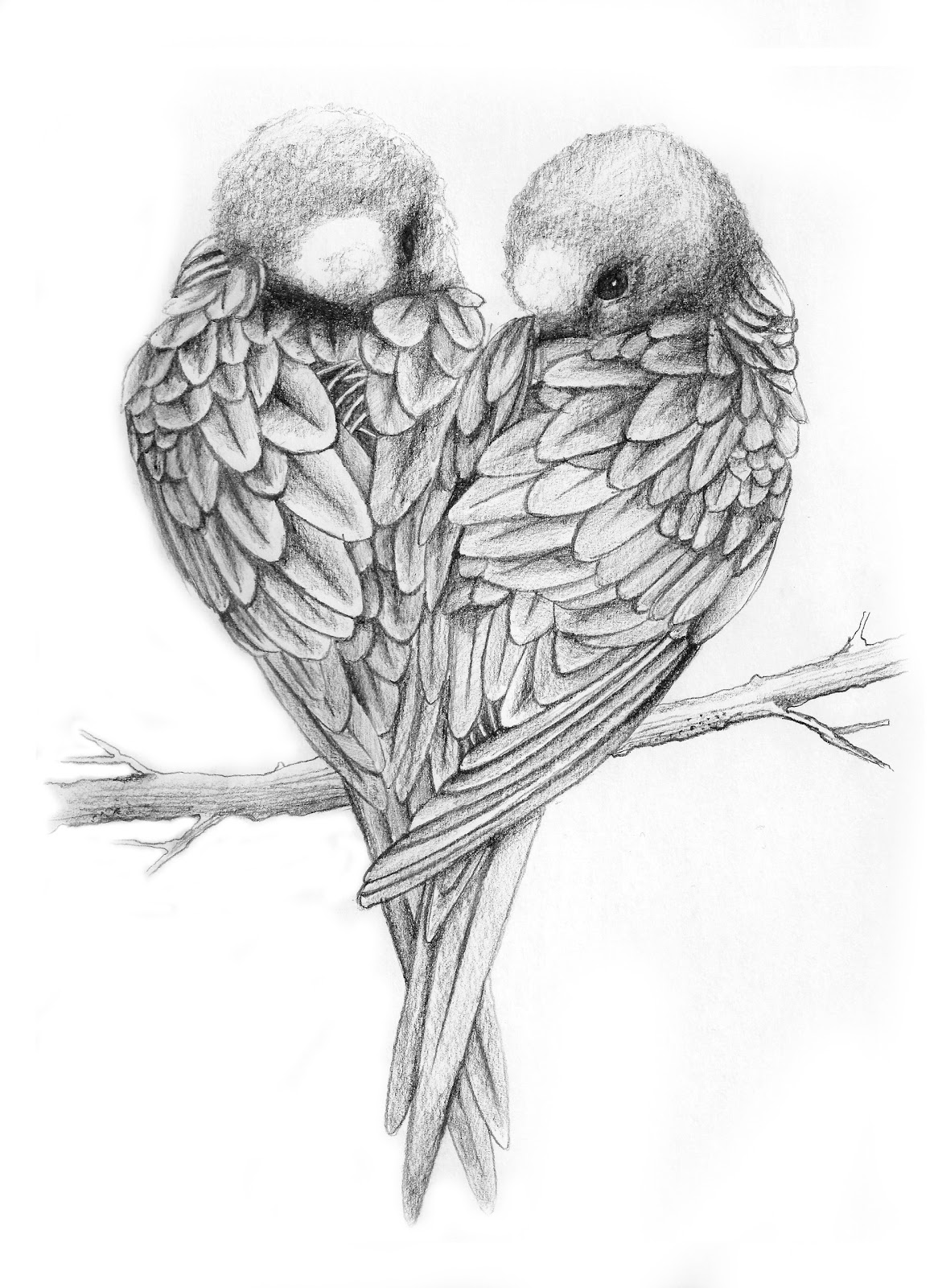 1161x1600 Love Birds Drawing - Lovebirds Drawing