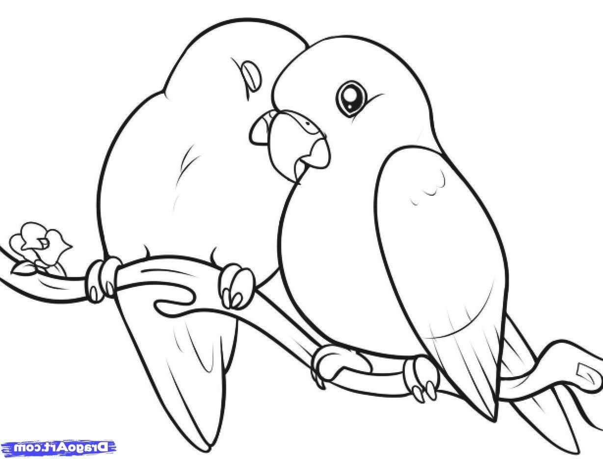 1229x936 Lovebirds Drawing At Getdrawings Com Free For Personal Use Love - Lovebirds Drawing