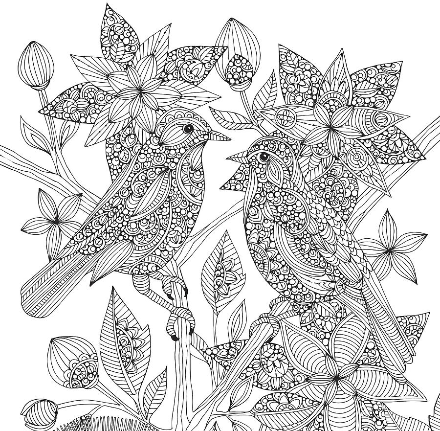 900x881 Lovebirds Drawing - Lovebirds Drawing