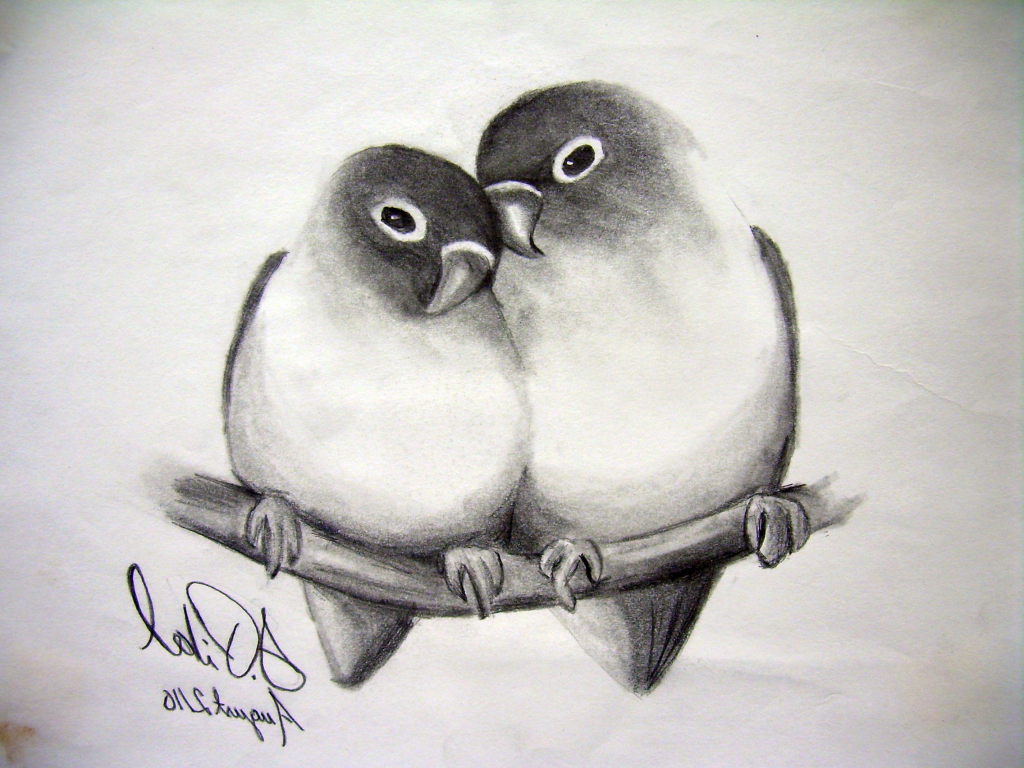 Lovebirds Drawing at PaintingValley.com | Explore collection of ...