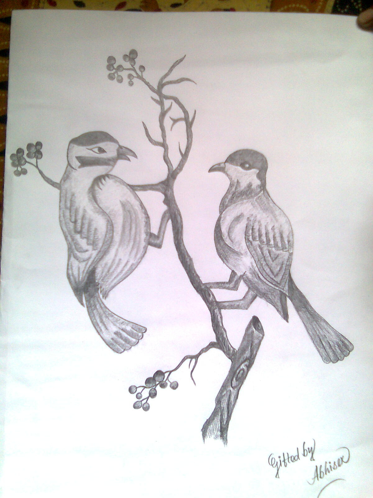 1200x1600 Pencil Drawings Of Lovebirds - Lovebirds Drawing