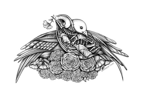 500x363 Skeleton Lovebirds Drawing Art - Lovebirds Drawing