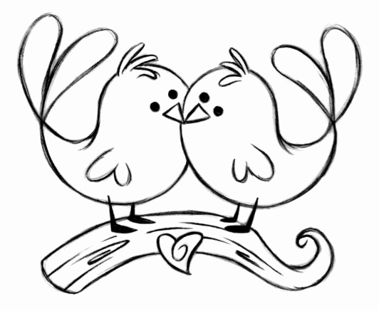532x437 sketches of love birds new drawing of love birds s bird rhzoro - Lovebirds Drawing