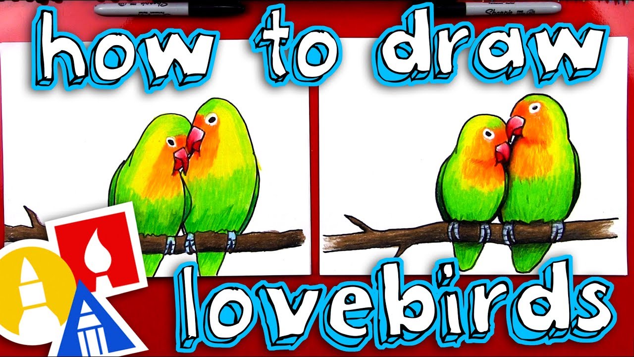 1280x720 How To Draw Lovebirds - Lovebirds Drawing