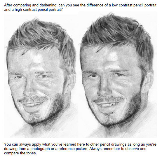 555x538 product review realistic pencil portrait mastery - Low Contrast Drawing