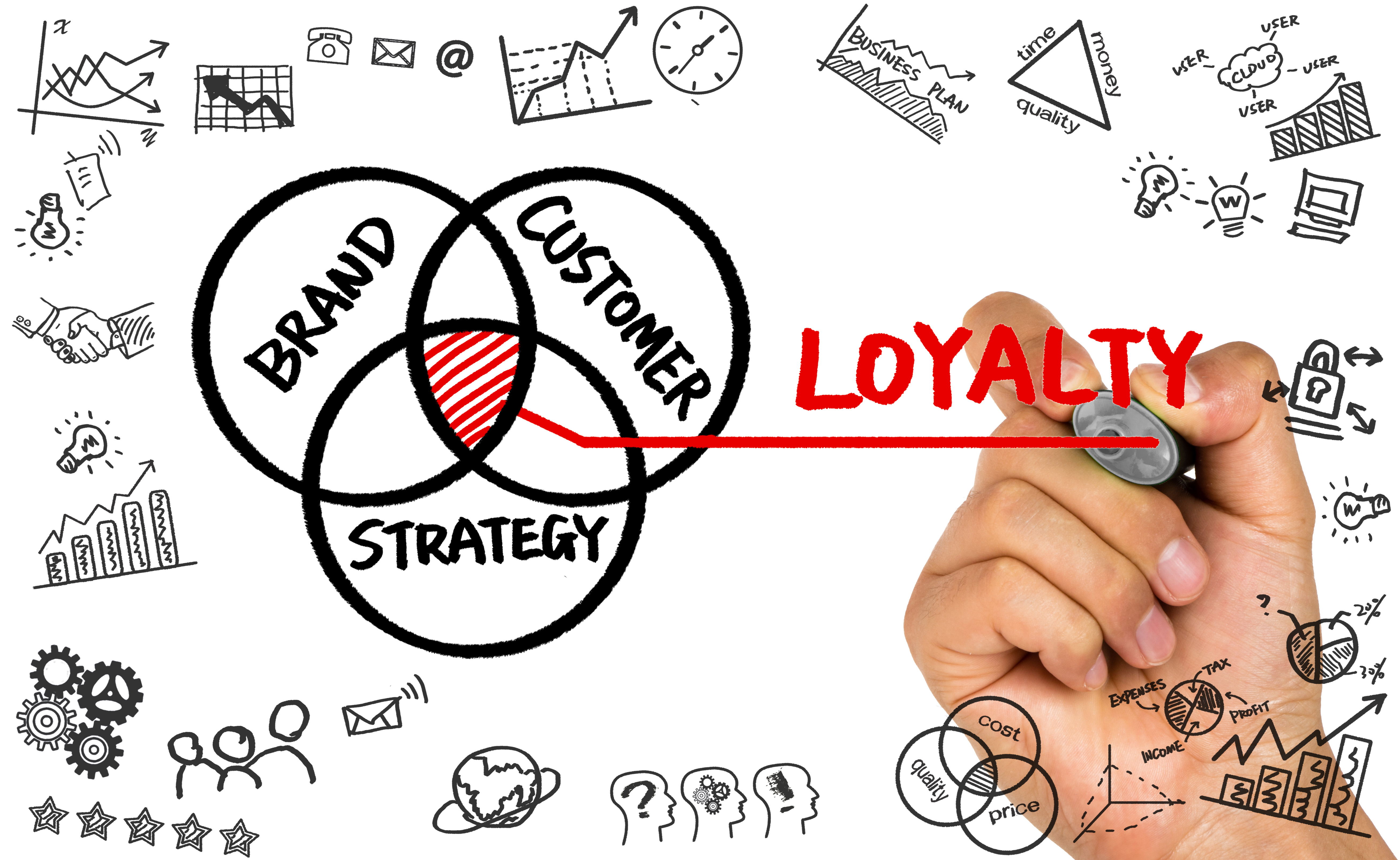 5231x3216 Customer Loyalty Concept Hand Drawing On Whiteboard - Loyalty Drawing