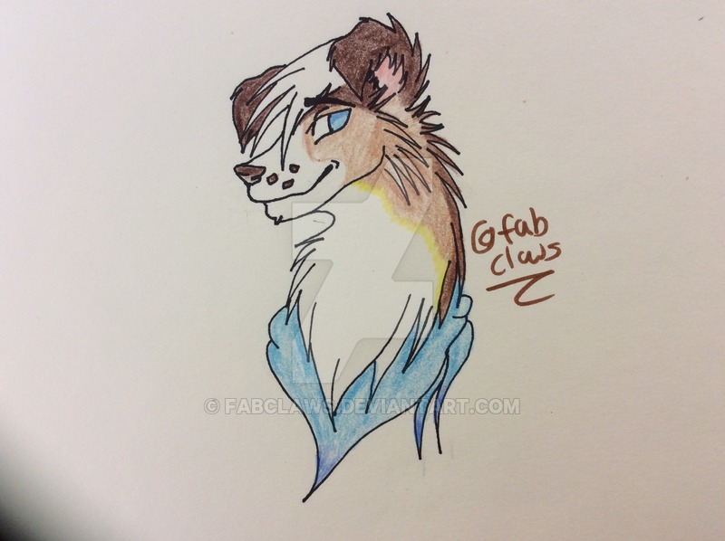 800x598 my lps collie drawing - Lps Drawings