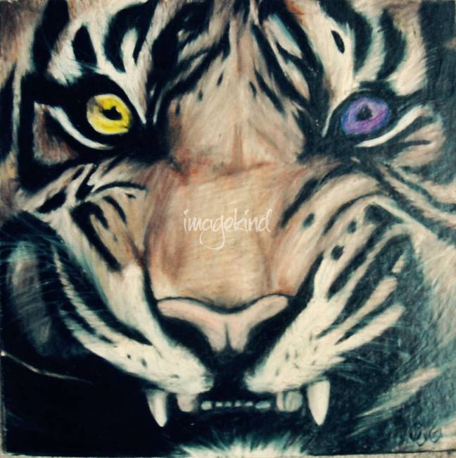 648x650 Stunning Lsu Drawings And Illustrations For Sale On Fine Art Prints - Lsu Drawings