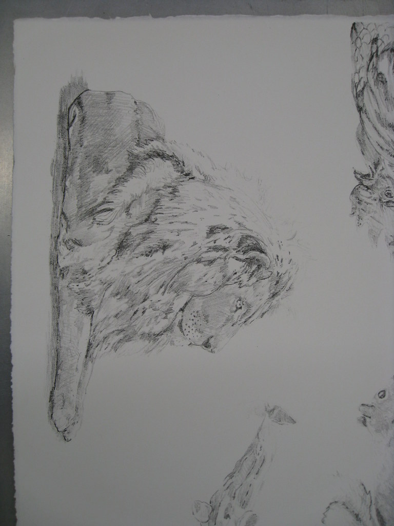 768x1024 The World's Best Photos Of Drawing And Lsu - Lsu Drawings